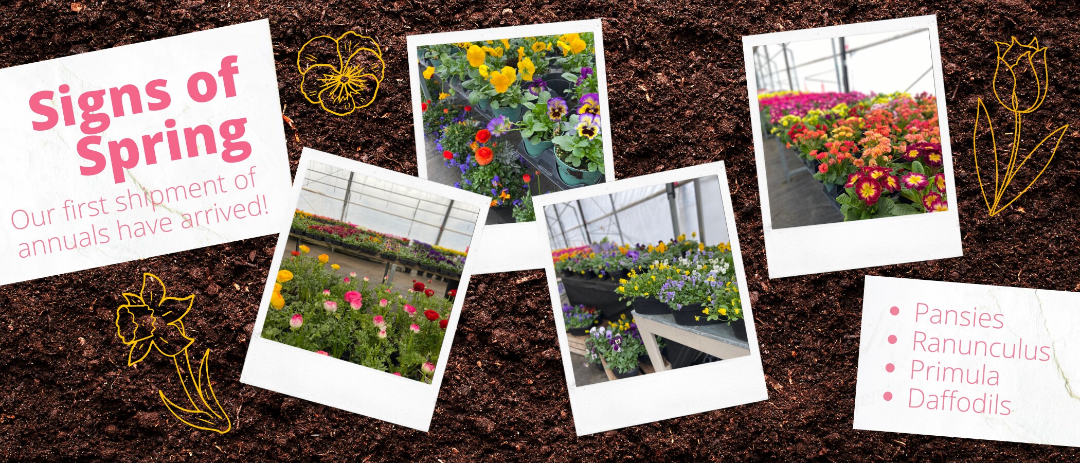 Flower Delivery to Grimsby by Cole's Florist Inc.